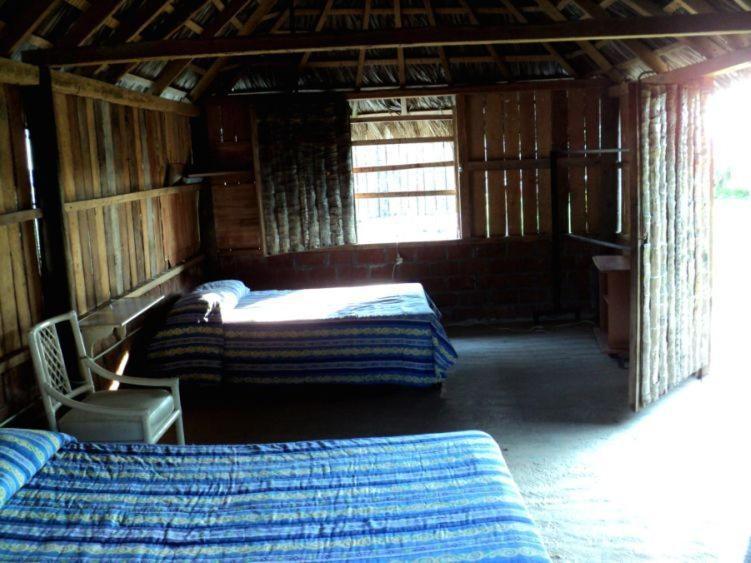 Отель Cabanas Pie De La Cuesta Коюка Номер фото